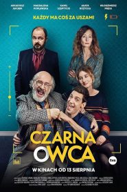 Czarna owca cały film